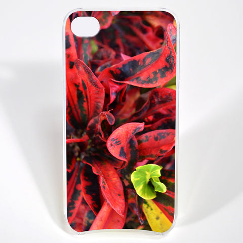 OMG Case - Red Leaves